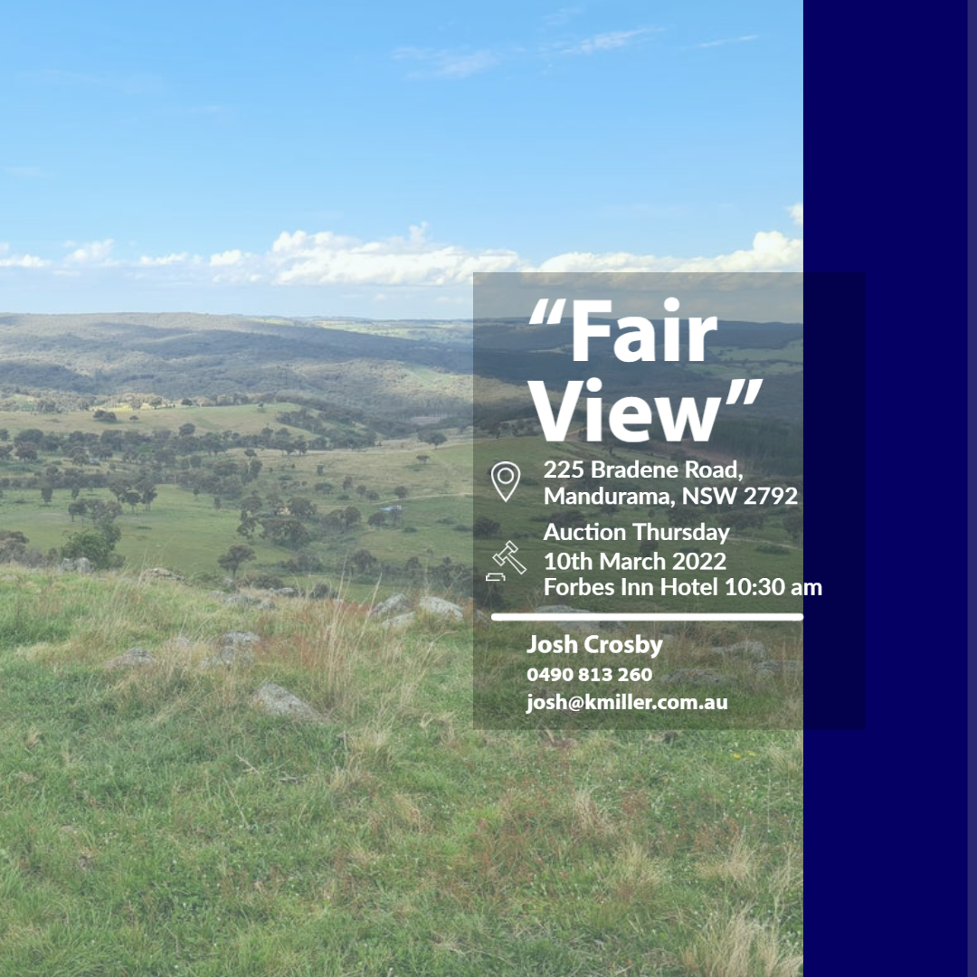 Fair View Website (3)